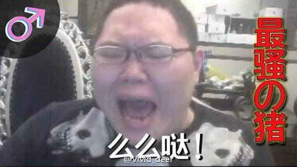 ���ߴ�˵��Ƶ���ŵ�ַ PDD���ݸ�Ц��Ƶ���ߴ�˵