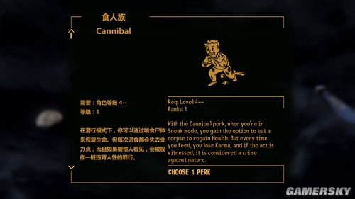 ���ܳ���Ϸ��