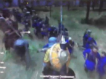 骑马与砍杀2霸主马匹战斗死亡效果一览