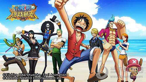 ������ȼ����־��װ���Դ�ȫ ��װѡ���Ƽ�