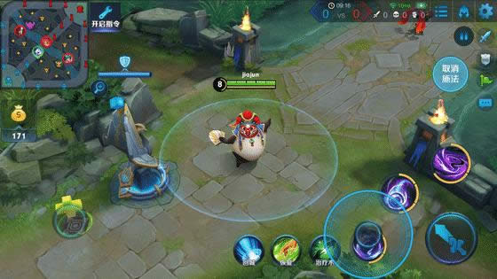 王者荣耀胖达荣荣变脸动图