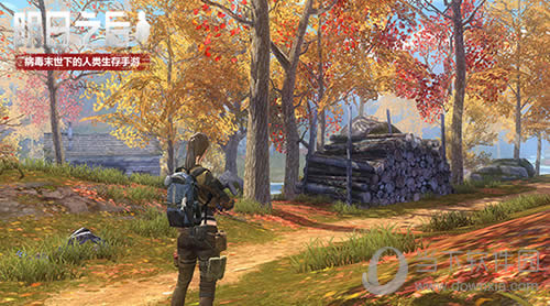 《明日之后》中秋日森林