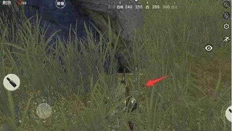 ��Ұ�ж�������