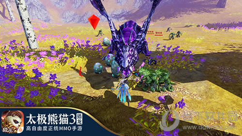 ̫����è3������Ƭ����ʱ������ͼ��