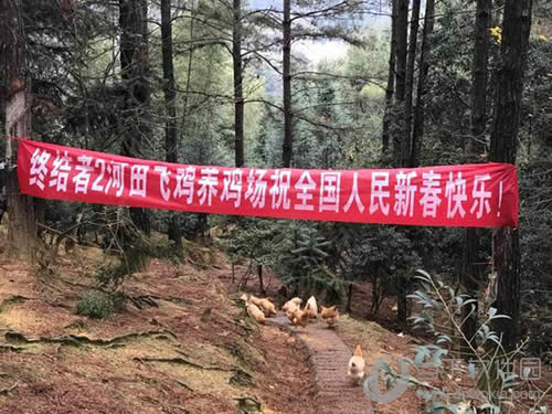 ����ɼ��ֳ���2