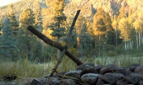 ������������Ƿ�Ĺ