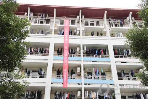 ������Ѫͳ2���ڸ�У������ͼƬ