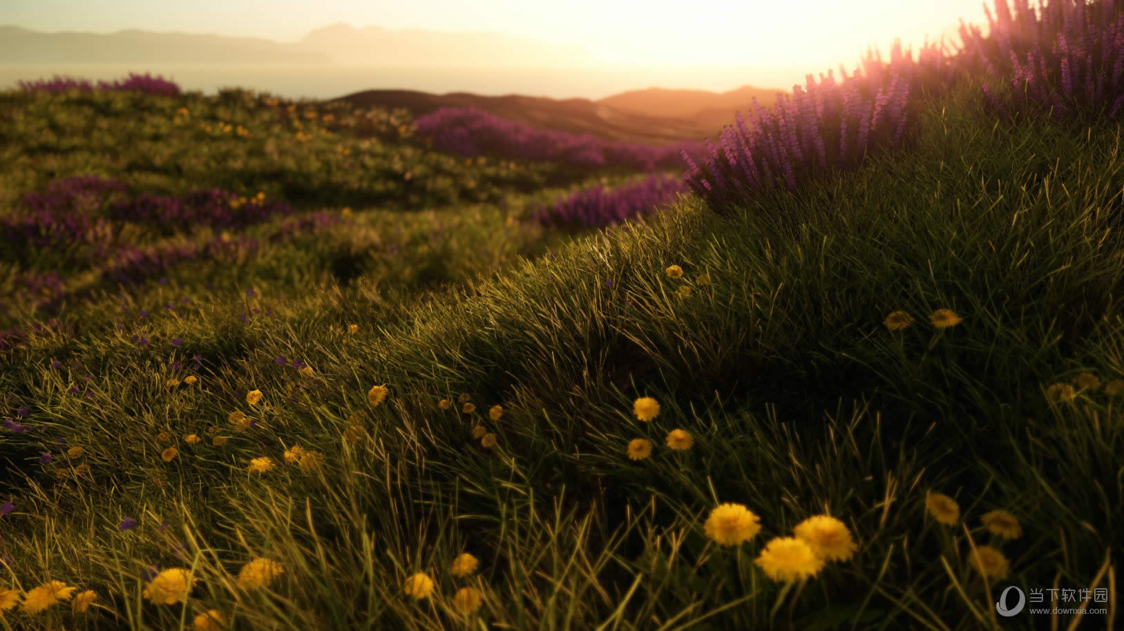 400��ͬͼ����ɱ