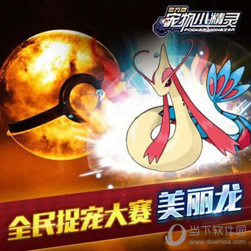 ����С����ٷ���������