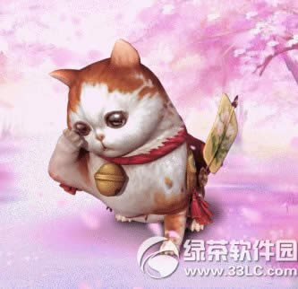 ��ս��ҷ�è�ı��ػ��ַ ����ǻ�������ĩ�ռ���4