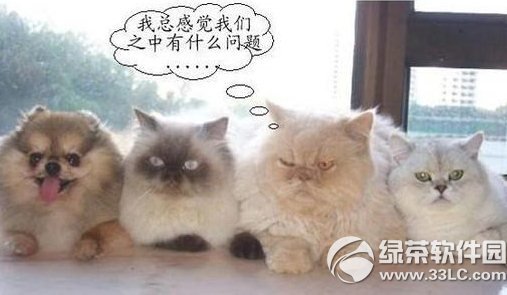 cf��Ĵ�Խ�ҵĶ����ַ ������ϵ�л��Ĵ�Խ�ҵĶ�2