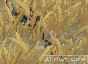 ��Ұ�ж�ʮ������ô�ã���Ұ�ж�ʮ���������÷�����