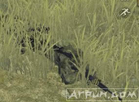 ��Ұ�ж�ʮ������ô�ã���Ұ�ж�ʮ���������÷�����