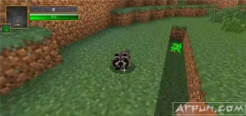 �ҵ�����ʮ�����˱�����MOD