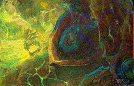 魔兽世界地精老司机怎样玩 地精老司机攻略