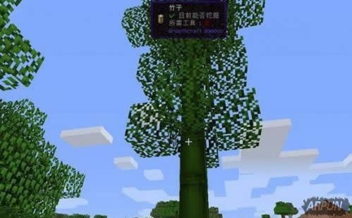 《我的世界》如何正确种植竹子