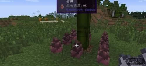 ���ҵ����硷1.12���·�����������