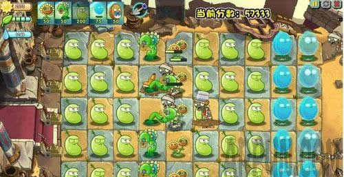 ֲ���ս��ʬ�޾���ս����ֲ���ս��ʬ�޾���ս����