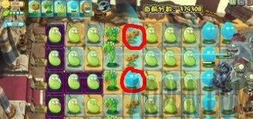 ֲ���ս��ʬ�޾���ս����ֲ���ս��ʬ�޾���ս����