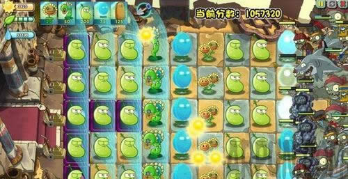 ֲ���ս��ʬ�޾���ս����ֲ���ս��ʬ�޾���ս����