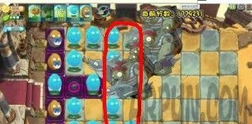 ֲ���ս��ʬ�޾���ս����ֲ���ս��ʬ�޾���ս����