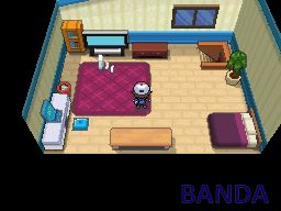 口袋妖怪黑白(黑版)二周目图文攻略_抓隐藏神