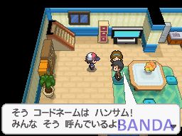 口袋妖怪黑白(黑版)二周目图文攻略_抓隐藏神