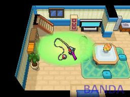 口袋妖怪黑白(黑版)二周目图文攻略_抓隐藏神