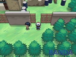 ڴֺڰףڰ棩ĿͼĹ_ץ