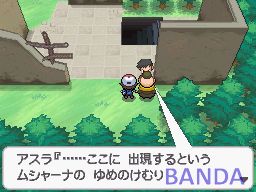 口袋妖怪黑白(黑版)二周目图文攻略_抓隐藏神