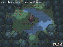 口袋妖怪白金二周目图文攻略 隐藏要素+神兽捕捉