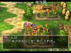 ���߶�����4,DQ4,NDS�湥��