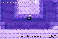 ���������ģ������񡢸����񡢱�������ôץ