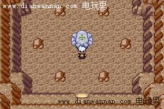 ���������ģ������񡢸����񡢱�������ôץ