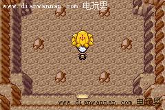 ���������ģ������񡢸����񡢱�������ôץ