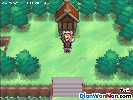 NDS���ڴ����� �ڰס���λ����Ĳ�׽�ĵ�