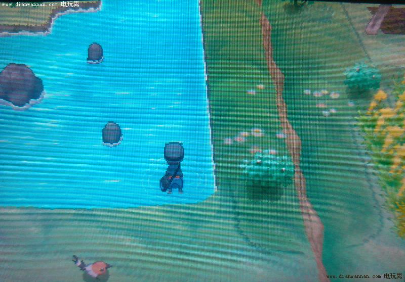 3DS�ڴ�����XY���������������ʲô�ط���׽