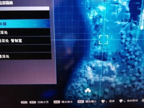 ������������׵�