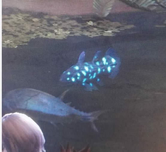 ������������