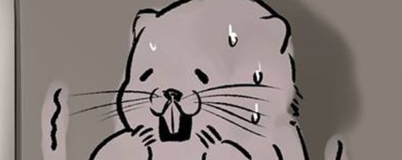 �������ȥ��ô��