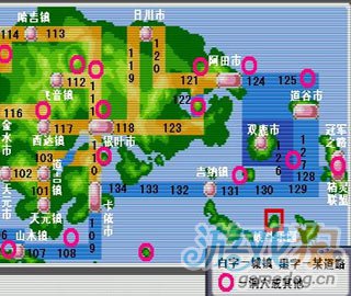 口袋妖怪绿宝石城市训练馆资料