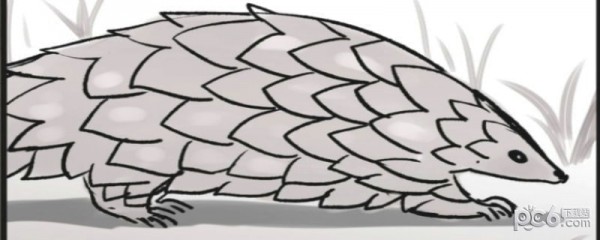 明日之后燃烧瓶怎样制作