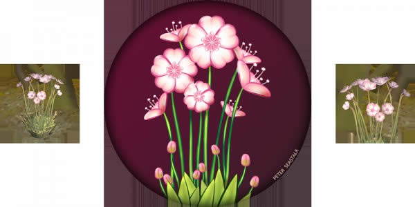 8.0���԰�����˹ǰհ��͸ ��ҩѧ�ɼ�С���º�������