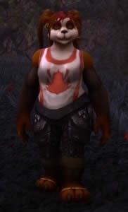 7.0暗月马戏团新内容汇总:幻化玩具等你肝