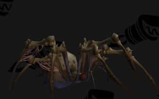 2015ħ��������ʥ�����������ݽ��