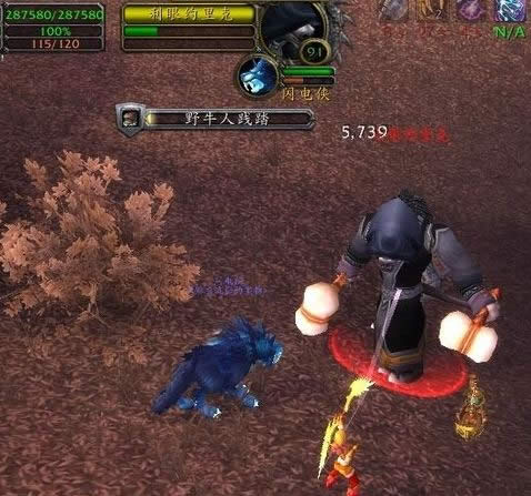 ��һ��WOW����������������Ʒ