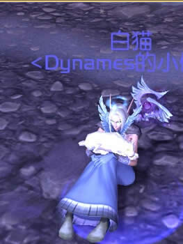 6.2趣味彩蛋:来学玩猫姿势 猫类宝宝身上趴