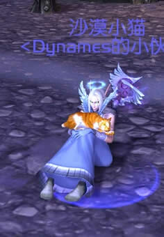 6.2趣味彩蛋:来学玩猫姿势 猫类宝宝身上趴