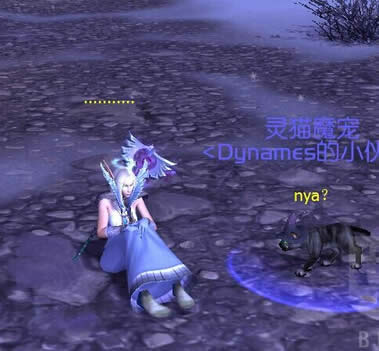 6.2趣味彩蛋:来学玩猫姿势 猫类宝宝身上趴