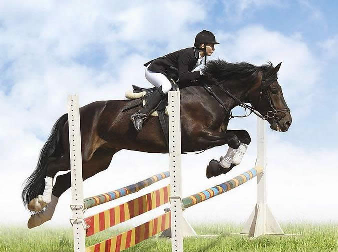 ħ�޲��׻û�������ʢװ�貽����������װ